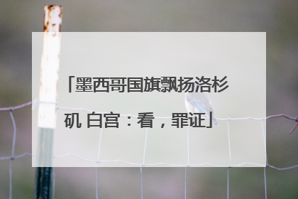 墨西哥国旗飘扬洛杉矶 白宫：看，罪证